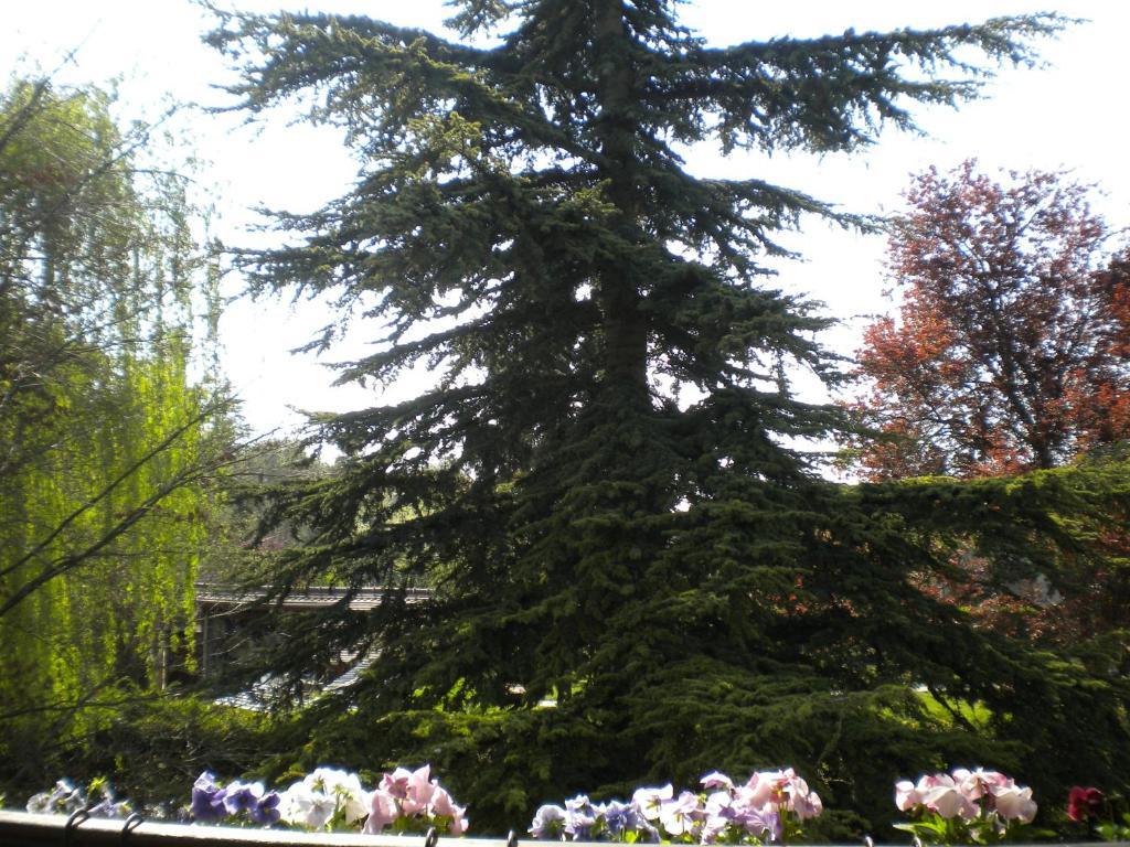 Vila Aux Marguerites Sainte-Genevieve-les-Gasny Pokoj fotografie